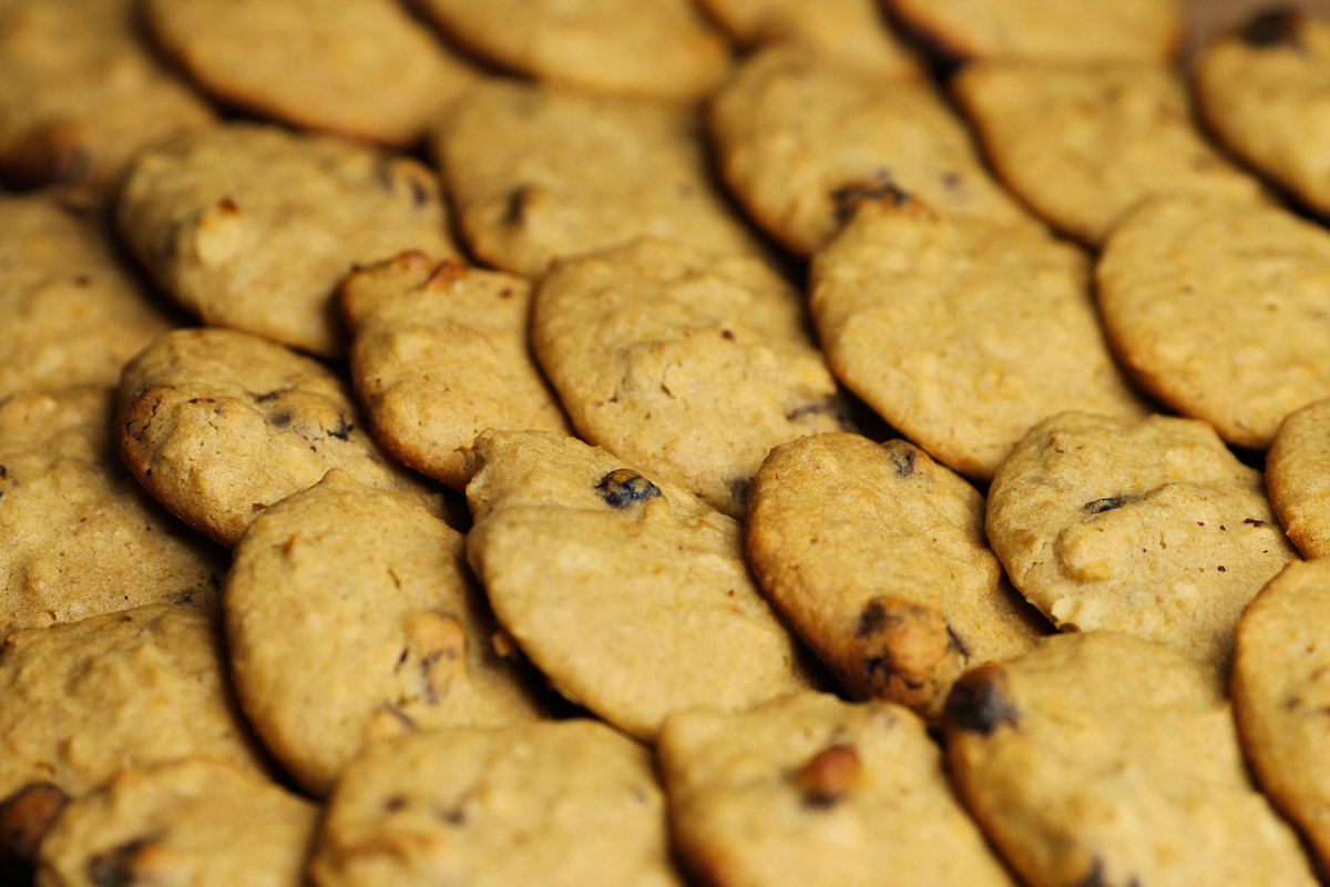 Rows of glorious cookies 